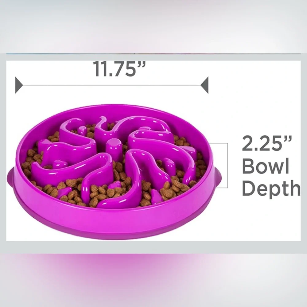 Outward Hound Purple Dog Bowl